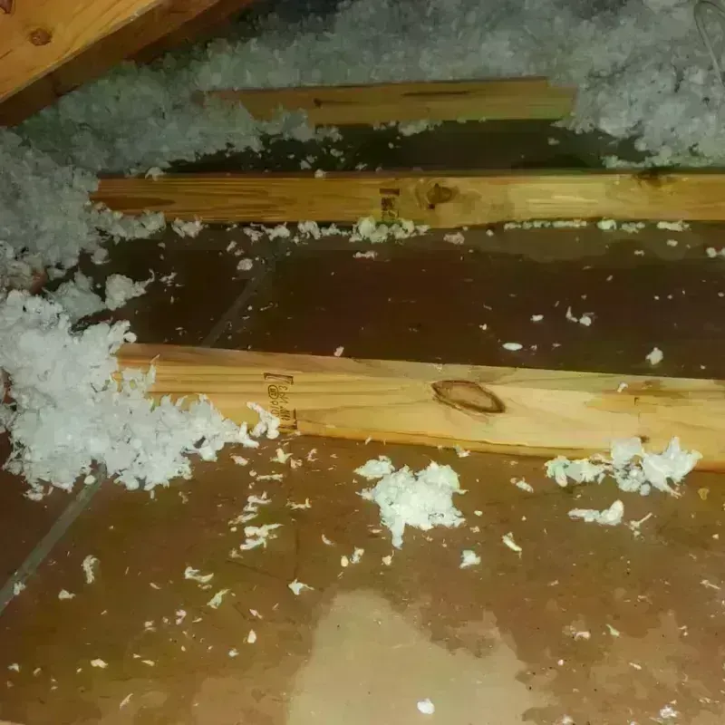 Attic Water Damage in Ironton, OH